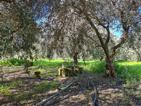 appartamento in vendita a Lentini