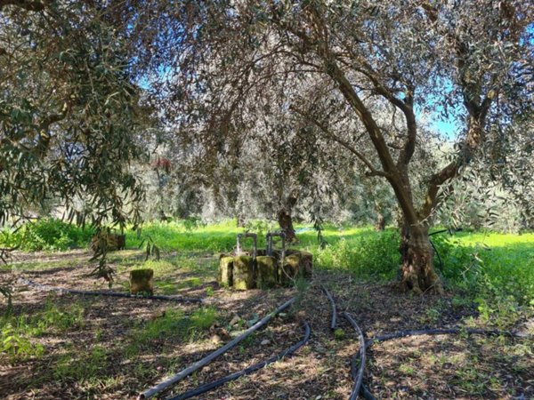 appartamento in vendita a Lentini