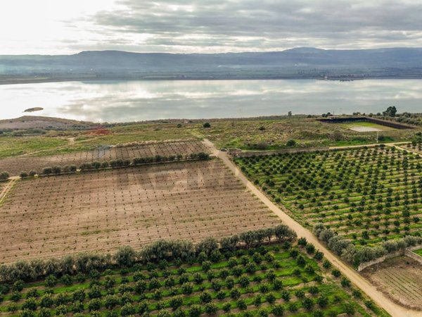 terreno agricolo in vendita a Lentini