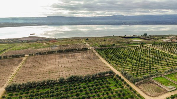 terreno agricolo in vendita a Lentini