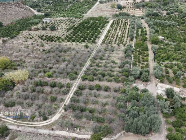 terreno agricolo in vendita a Lentini