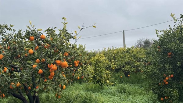 appartamento in vendita a Lentini