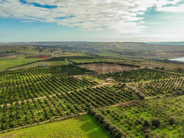 rudere in vendita a Lentini