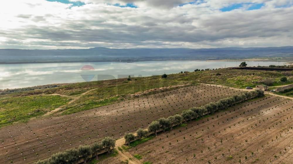 terreno agricolo in vendita a Lentini