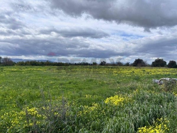terreno agricolo in vendita a Lentini