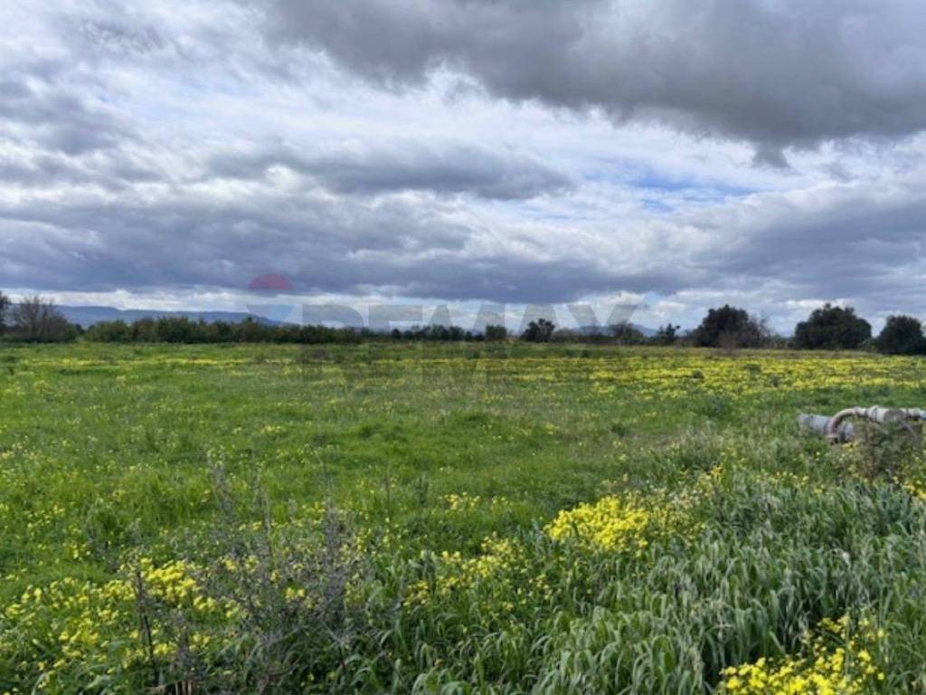 terreno agricolo in vendita a Lentini