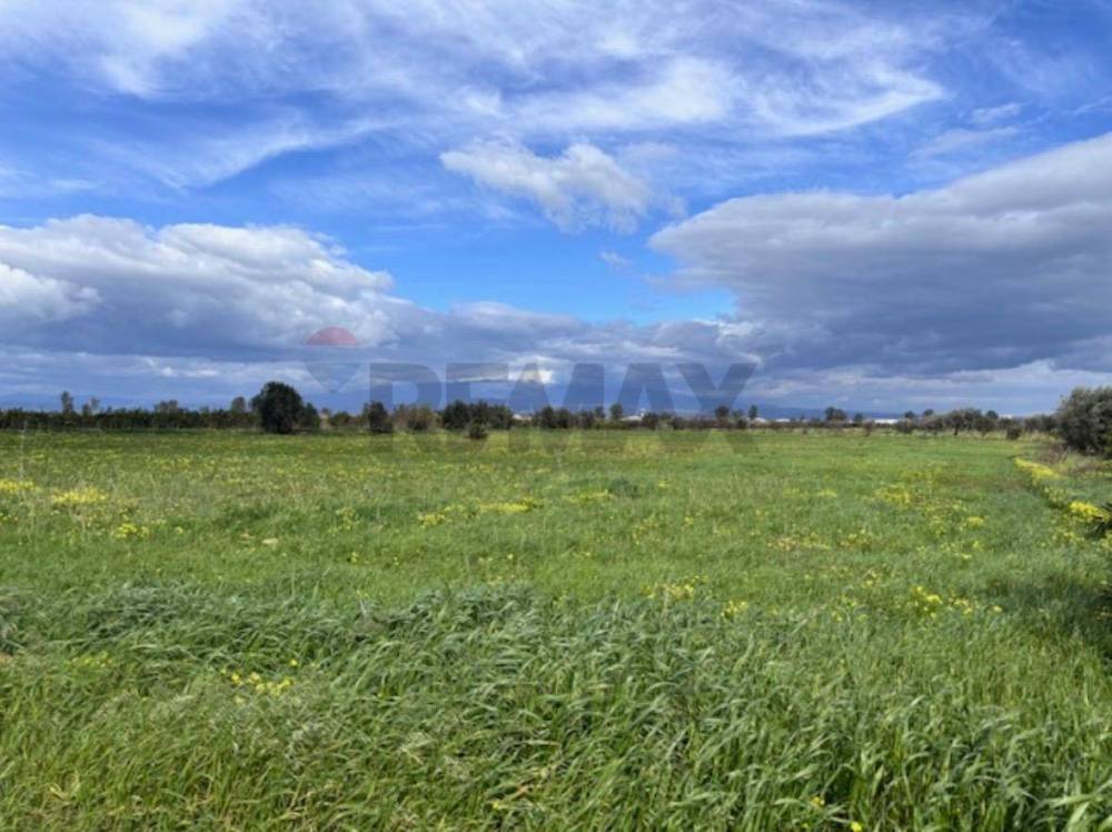terreno agricolo in vendita a Lentini