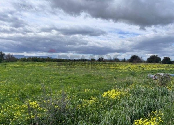 terreno agricolo in vendita a Lentini