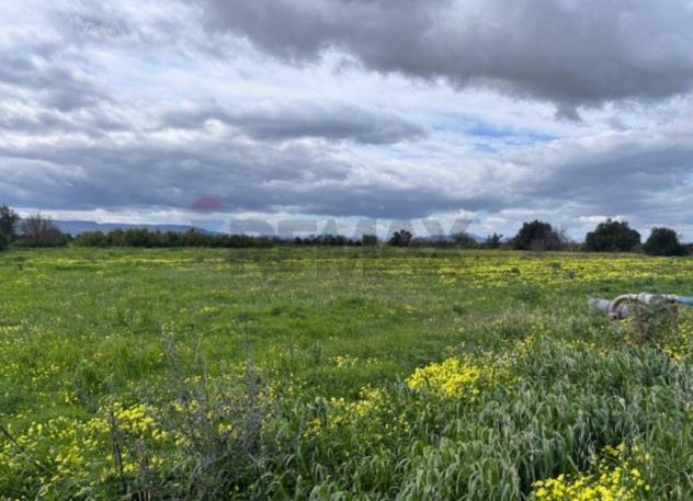 terreno agricolo in vendita a Lentini