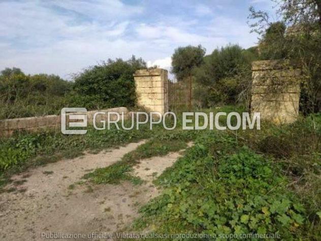 terreno agricolo in vendita a Lentini
