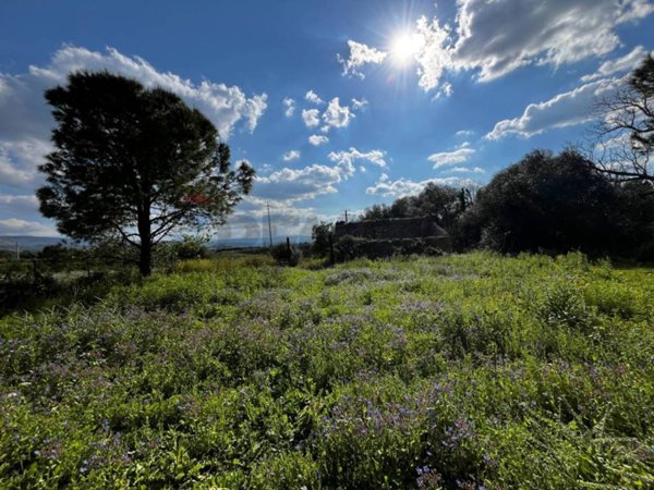 terreno agricolo in vendita a Lentini