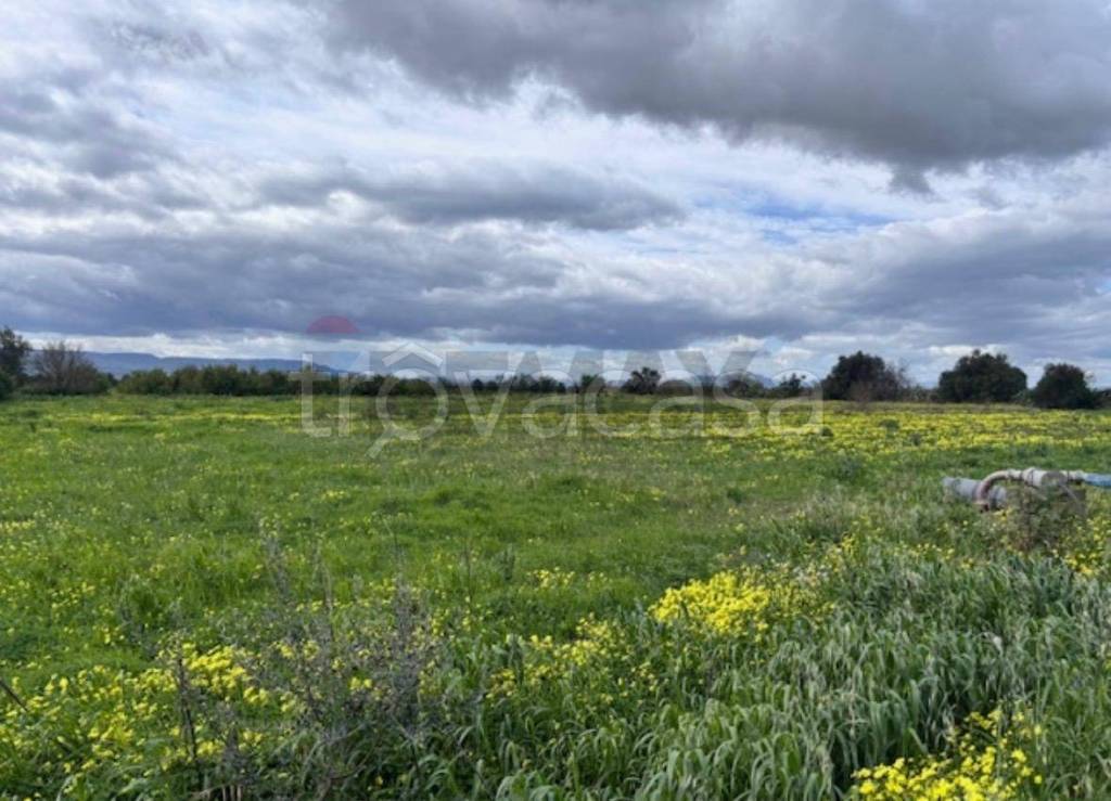 terreno agricolo in vendita a Lentini