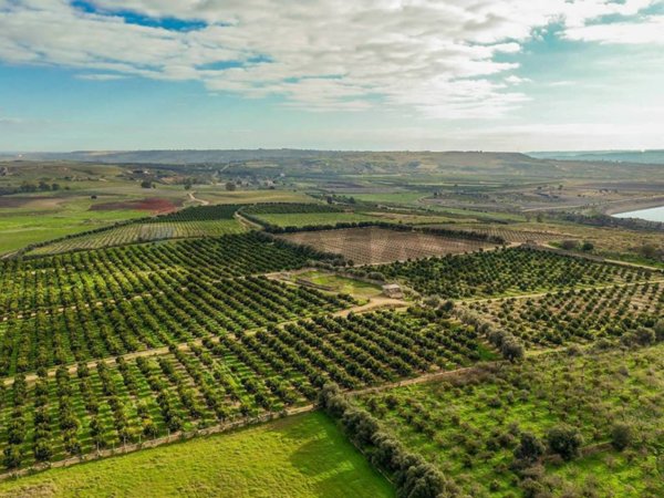 terreno agricolo in vendita a Lentini in zona Sigonella