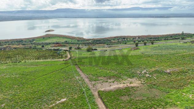 terreno agricolo in vendita a Lentini