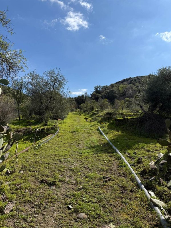 terreno agricolo in vendita a Lentini in zona Sigonella