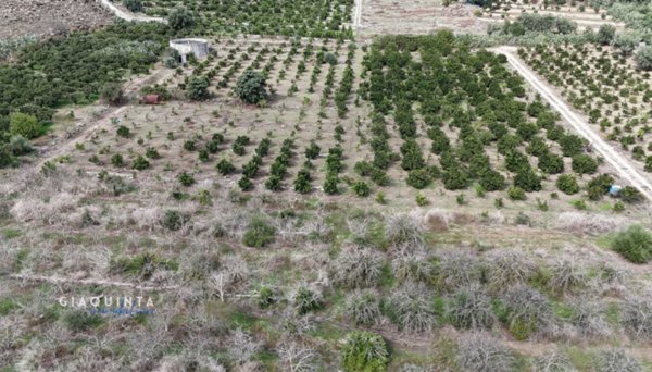 terreno agricolo in vendita a Lentini in zona Sigonella