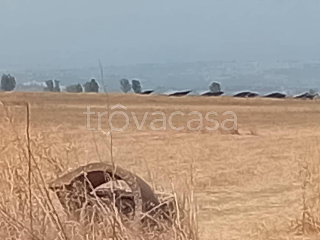terreno agricolo in vendita a Lentini in zona Sigonella