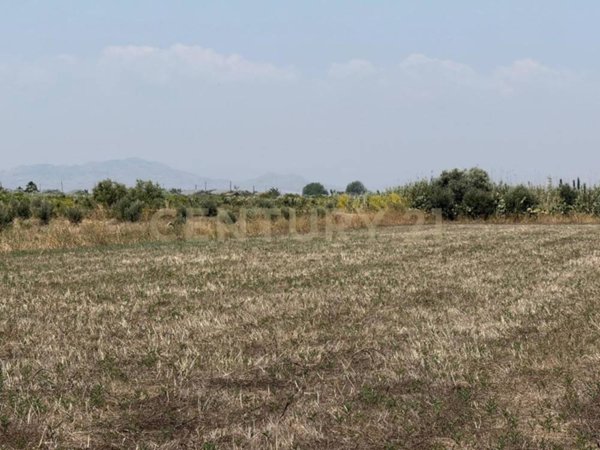 terreno agricolo in vendita a Lentini in zona Sigonella