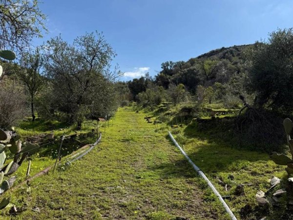 terreno in vendita a Lentini in zona Sigonella