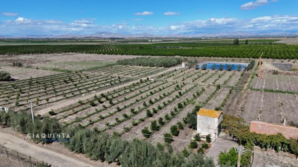 terreno in vendita a Lentini