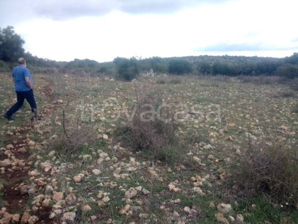 terreno agricolo in vendita a Melilli