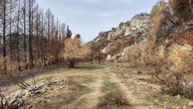 terreno agricolo in vendita a Melilli