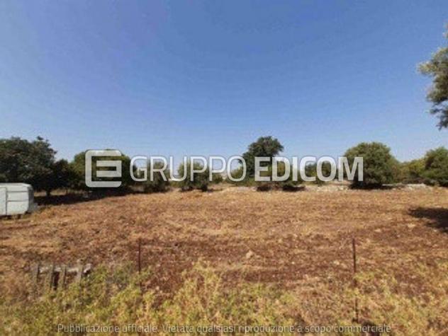 terreno agricolo in vendita a Melilli