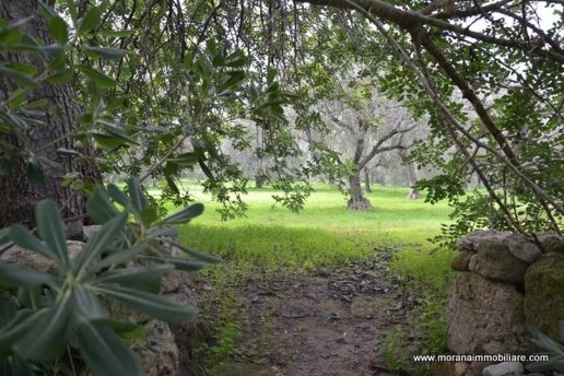 quadrivano in vendita a Melilli