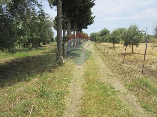 terreno agricolo in vendita a Melilli in zona Villasmundo