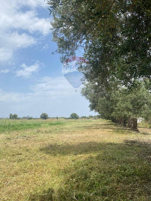 terreno agricolo in vendita a Melilli in zona Villasmundo