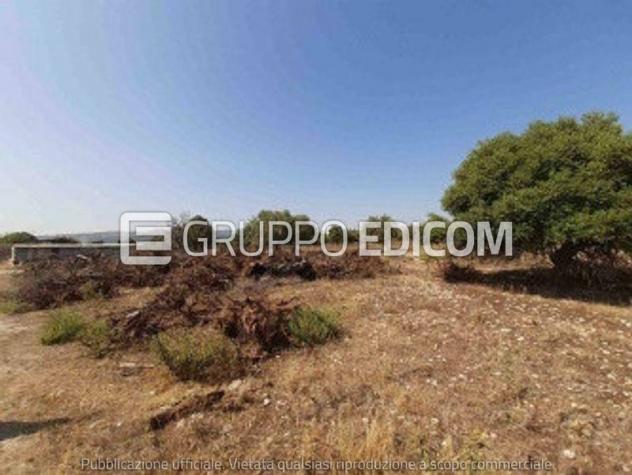 immagine annuncio 0 di 1