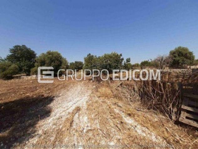 terreno agricolo in vendita a Melilli