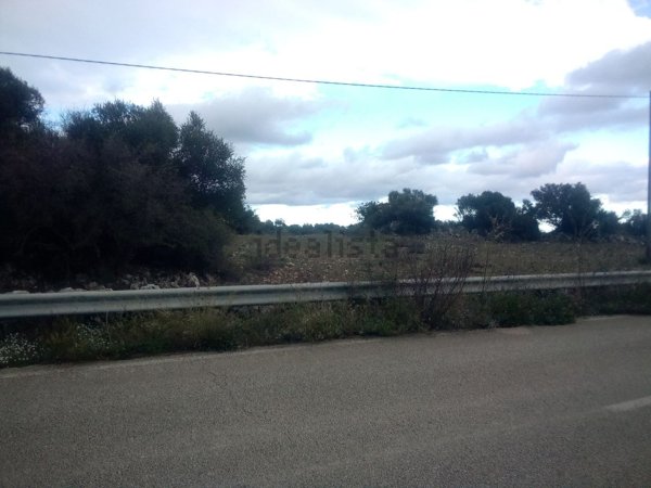 terreno agricolo in vendita a Melilli
