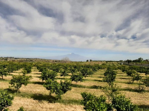 terreno agricolo in vendita a Melilli