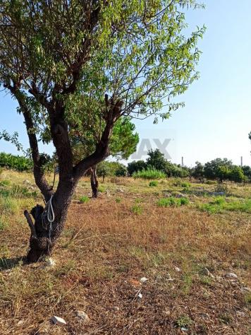 terreno agricolo in vendita a Melilli in zona Città Giardino