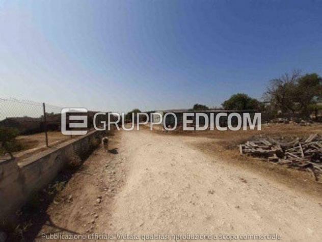 immagine annuncio 0 di 1