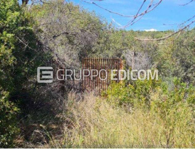 terreno agricolo in vendita a Melilli