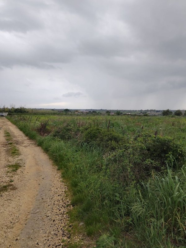 terreno agricolo in vendita a Melilli