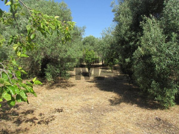 terreno agricolo in vendita a Melilli