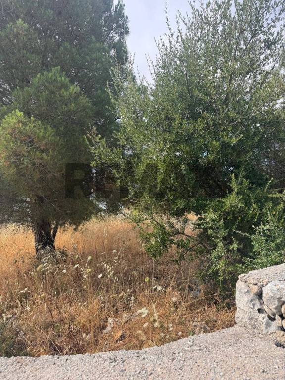 terreno agricolo in vendita a Melilli