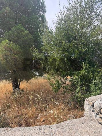 terreno agricolo in vendita a Melilli