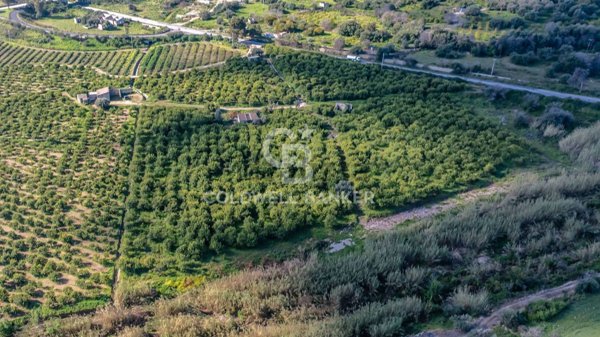 terreno agricolo in vendita a Melilli