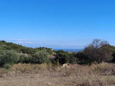 terreno agricolo in vendita a Melilli