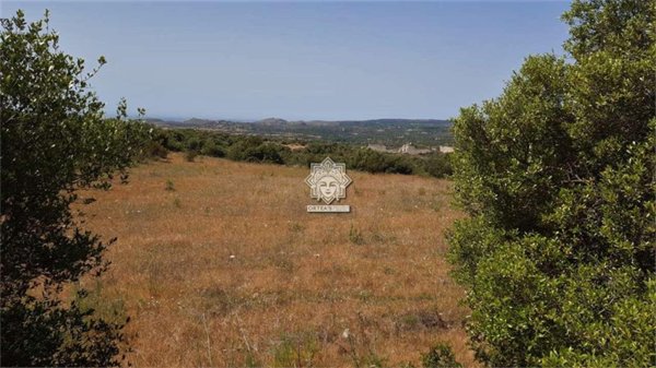 terreno agricolo in vendita a Noto