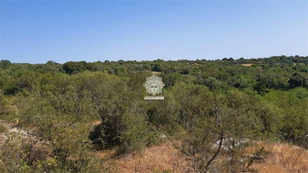 casa indipendente in vendita a Noto