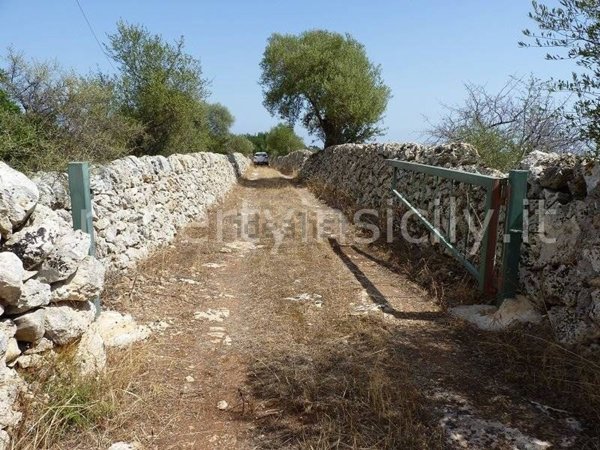 terreno agricolo in vendita a Noto