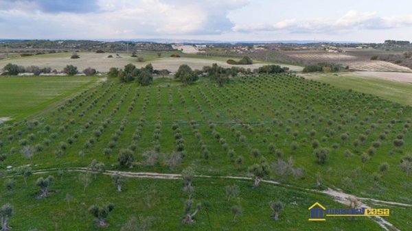 appartamento in affitto a Noto