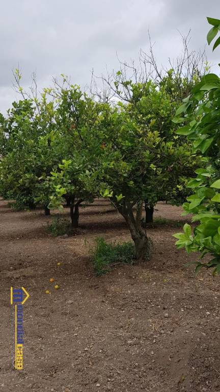 appartamento in vendita a Noto