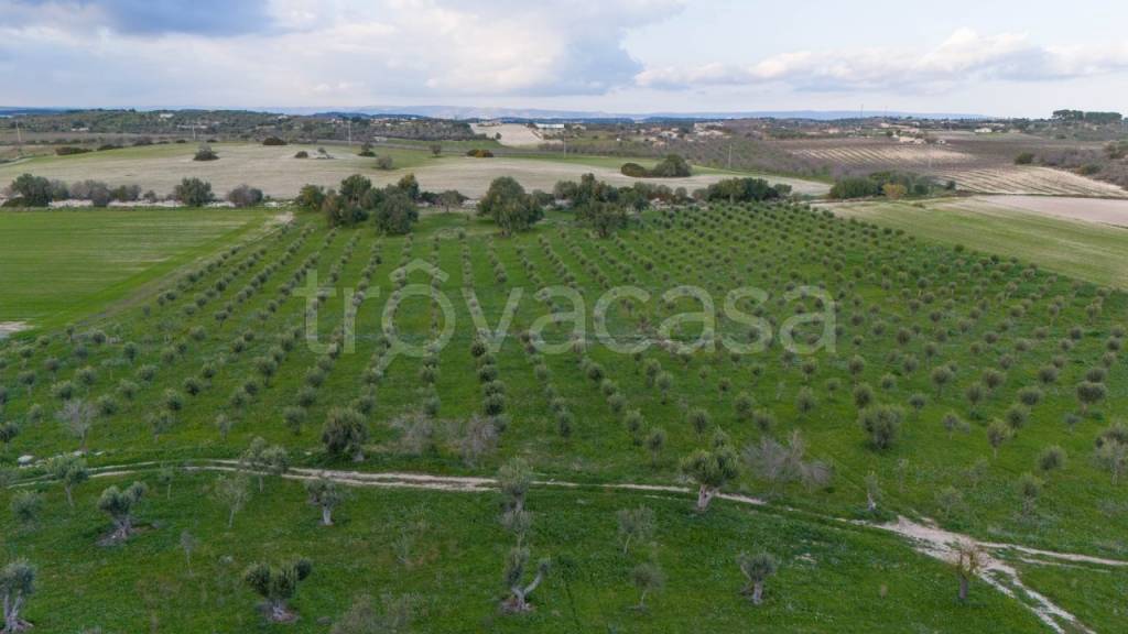 terreno agricolo in vendita a Noto