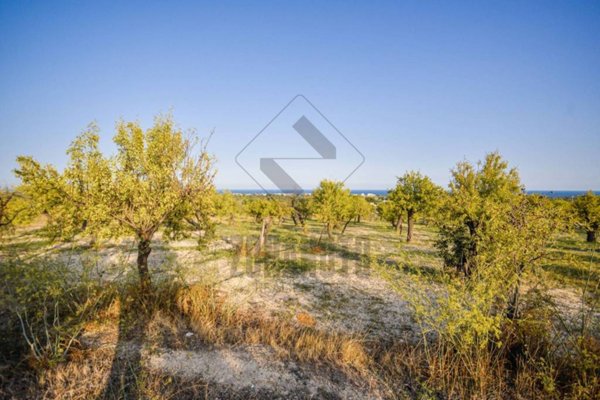 terreno agricolo in vendita a Noto